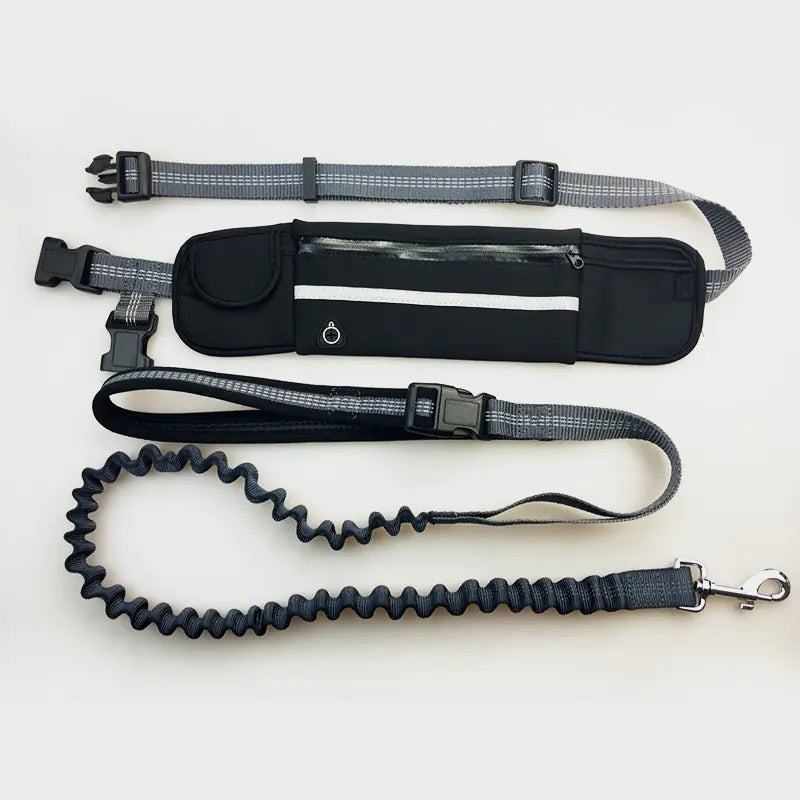 Handsfree Dog Leash