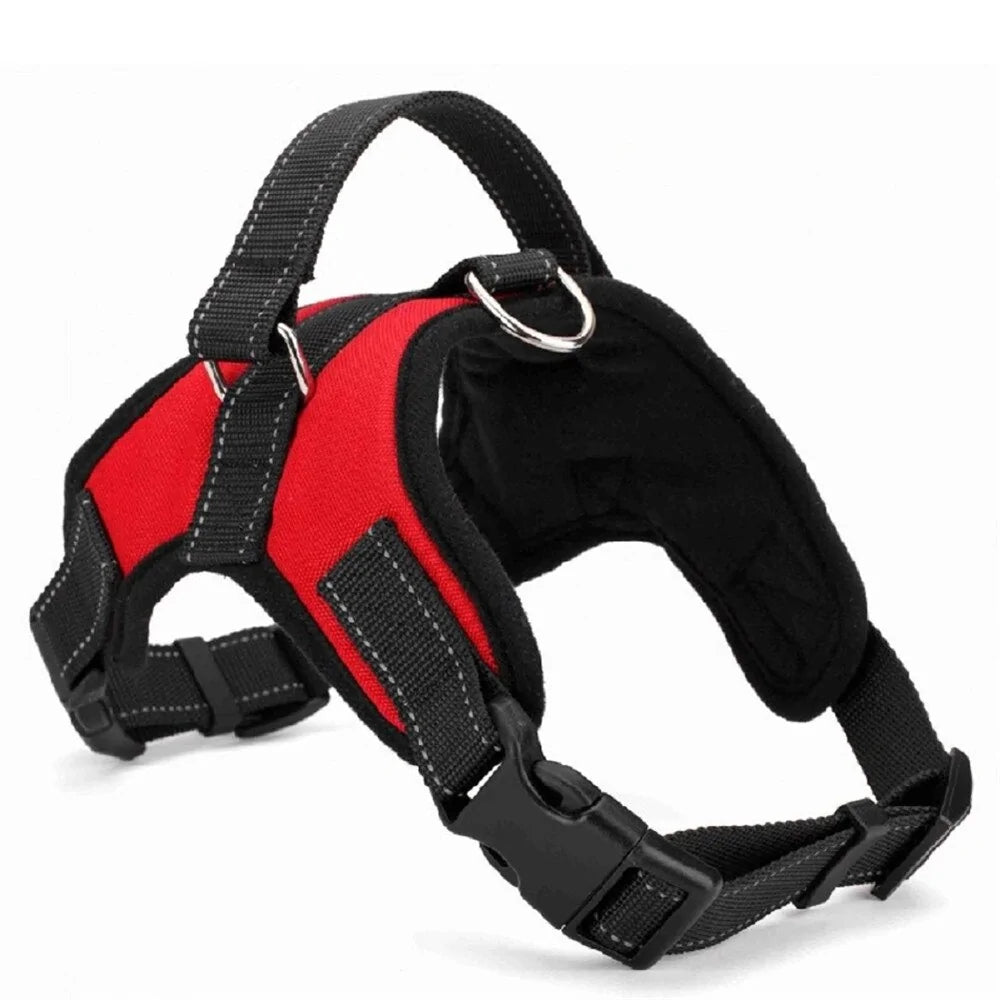 Adjustable Pet Harness