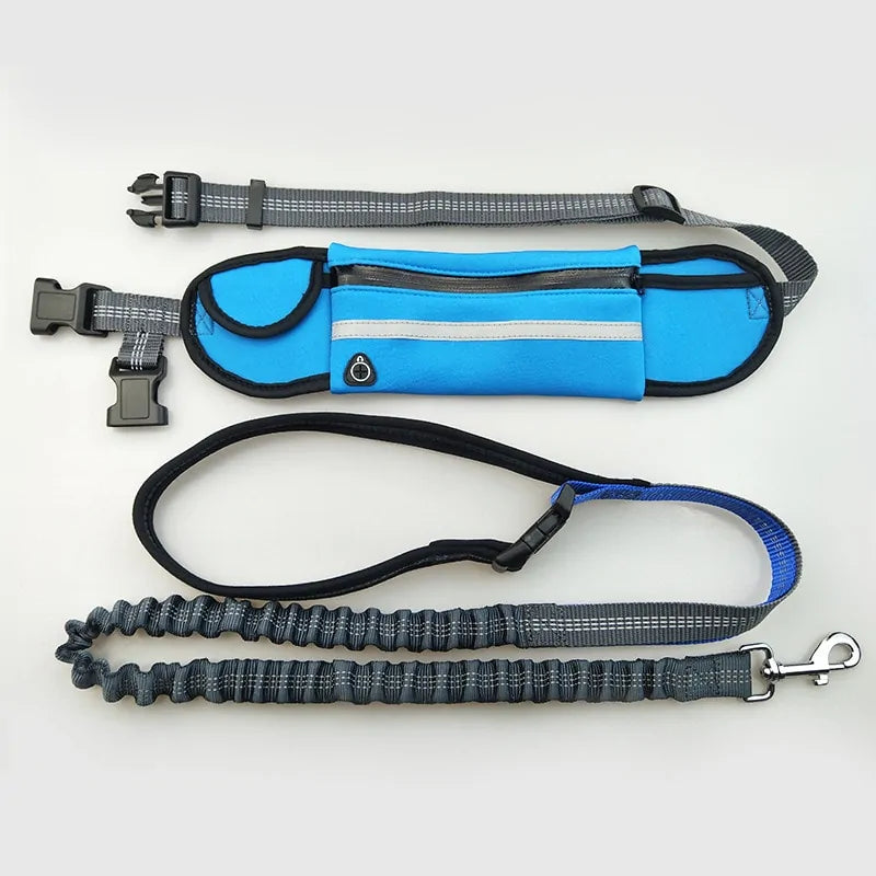 Handsfree Dog Leash