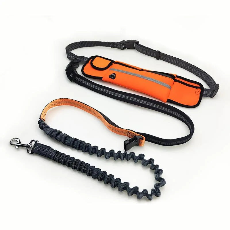 Handsfree Dog Leash