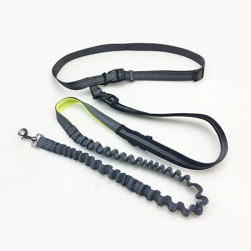 Handsfree Dog Leash