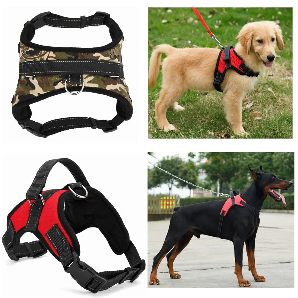 Adjustable Pet Harness